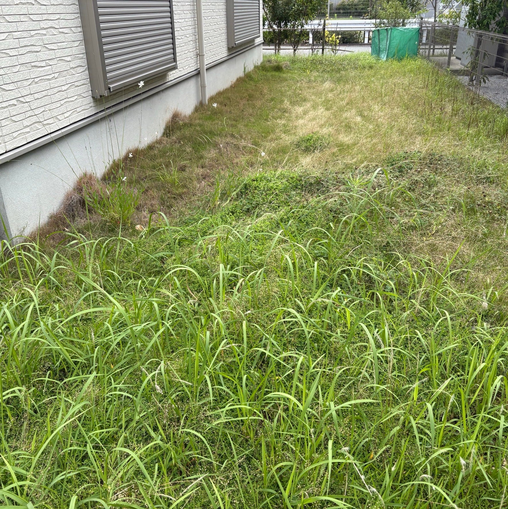 はなまる造園福岡店_2枚目