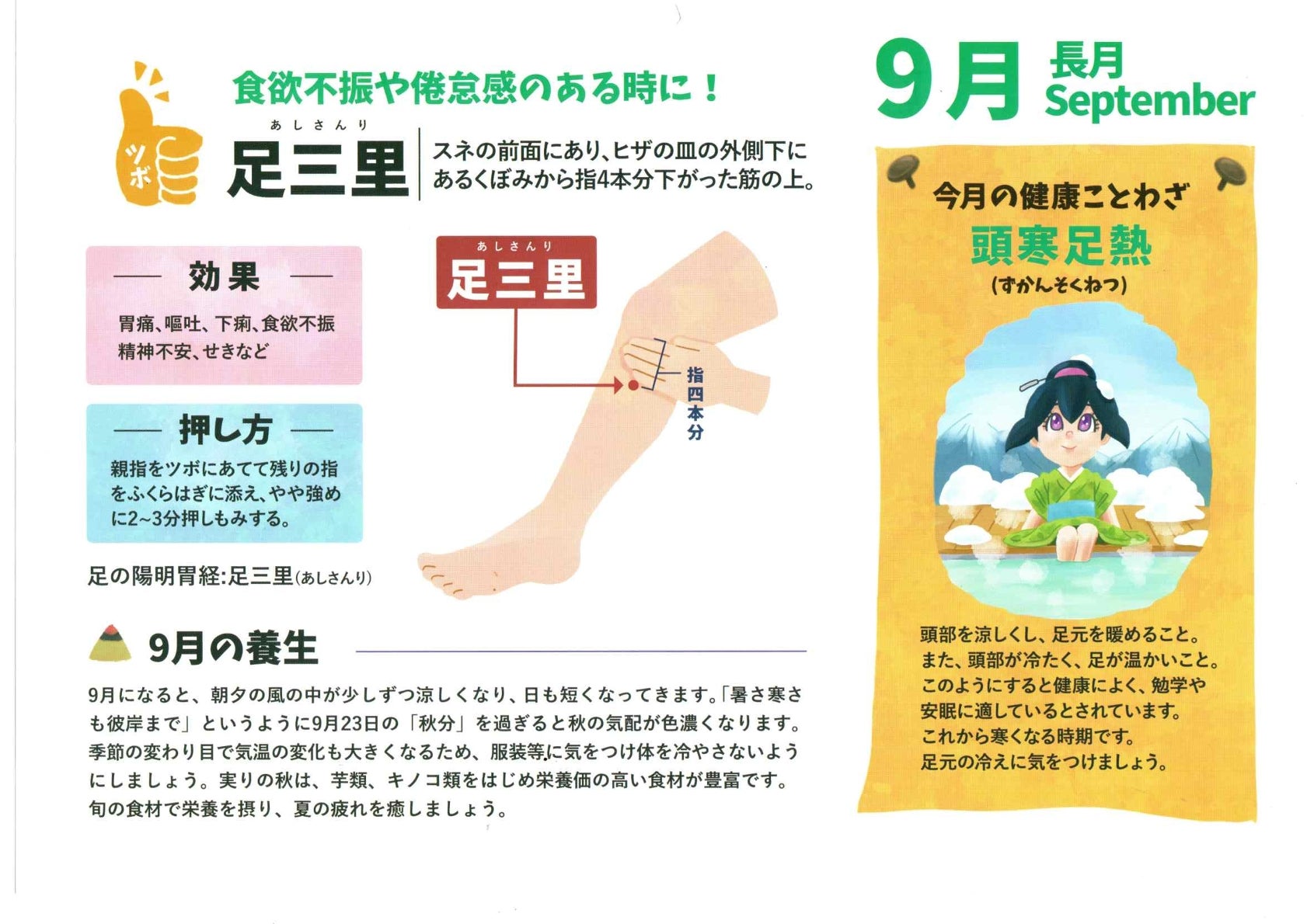 「足三里」というツボについて、ご紹介します！の写真