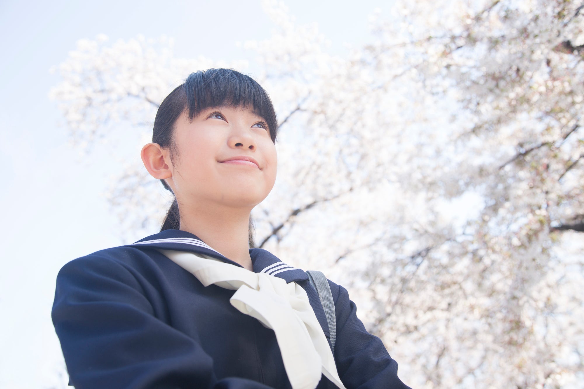 たむかい学習教室の2026年 春期講習の写真