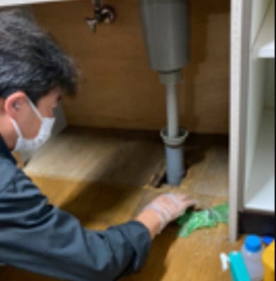  株式会社 U&S ハウスのゴキブリ駆除の写真