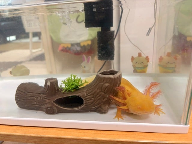勉強で培われるチカラの写真