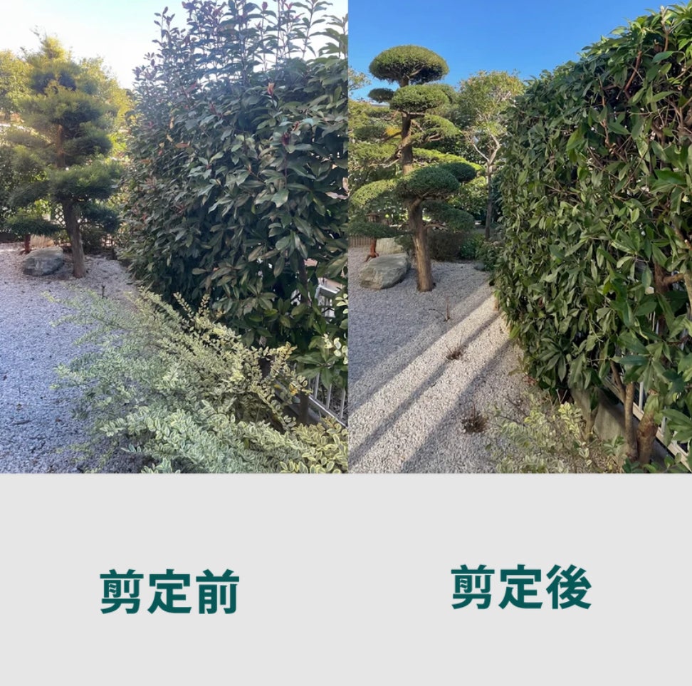 庭ノ助の低木剪定（高さ3m未満）3,300円〜／本の写真