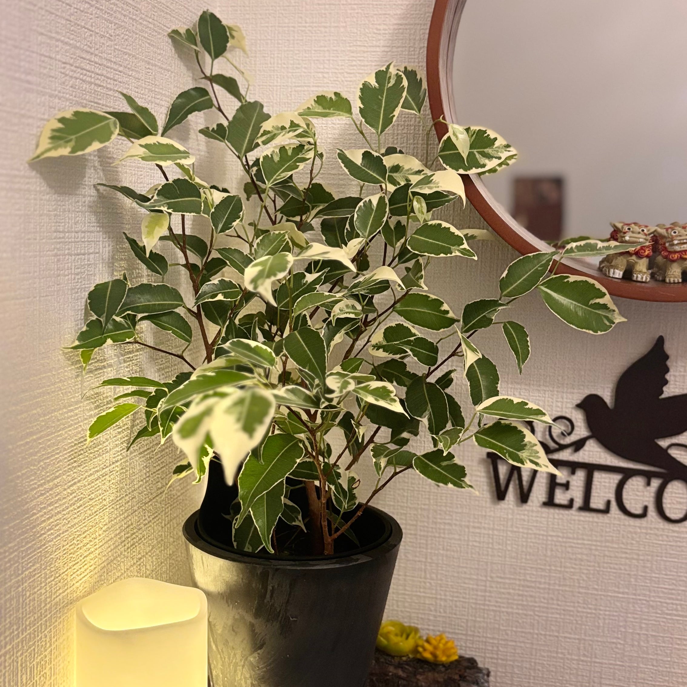 エステサロン　結菜_1枚目