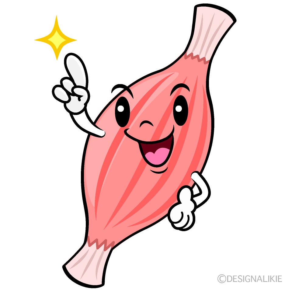 【筋肉のコリができるメカニズムと解消法】の写真