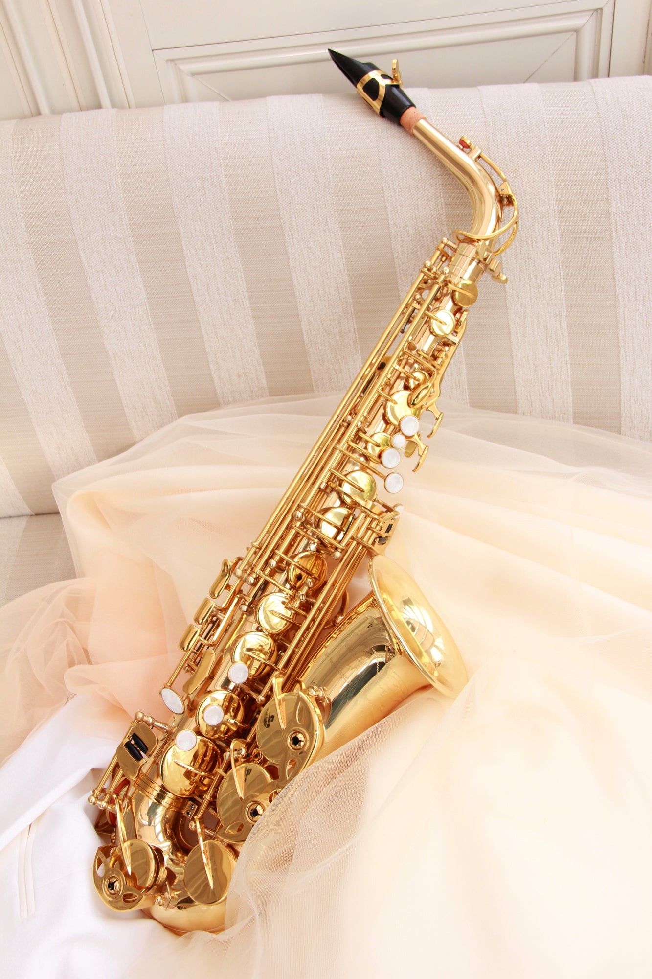 Abe music planning の紹介写真_2枚目