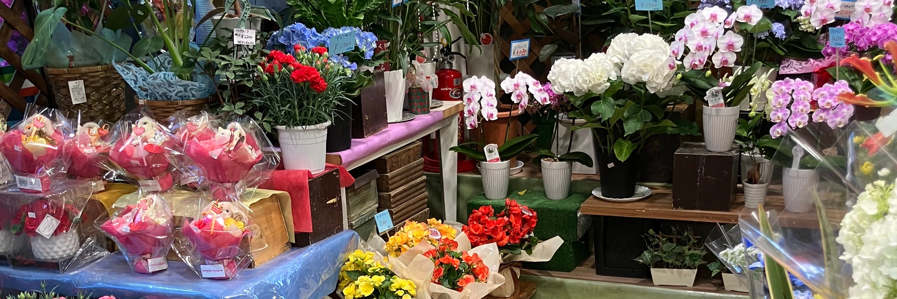 flower shop toyo-en