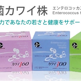 株式会社マルト－_1枚目