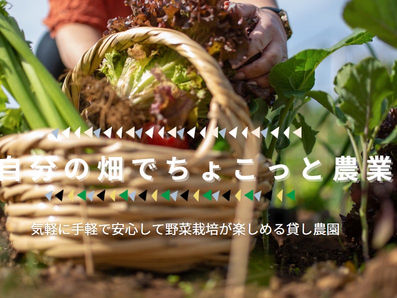 ちょこっと農業　寝屋川河北西町農園第二_1枚目