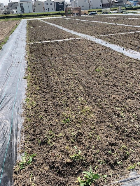 ちょこっと農業　寝屋川河北西町農園第二_2枚目