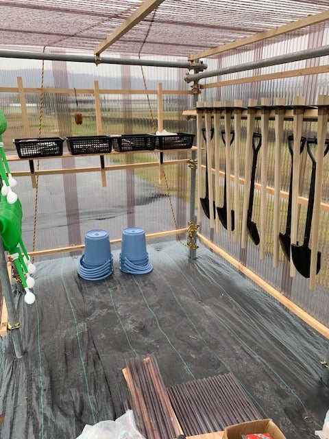 ちょこっと農業　寝屋川河北西町農園第二_3枚目