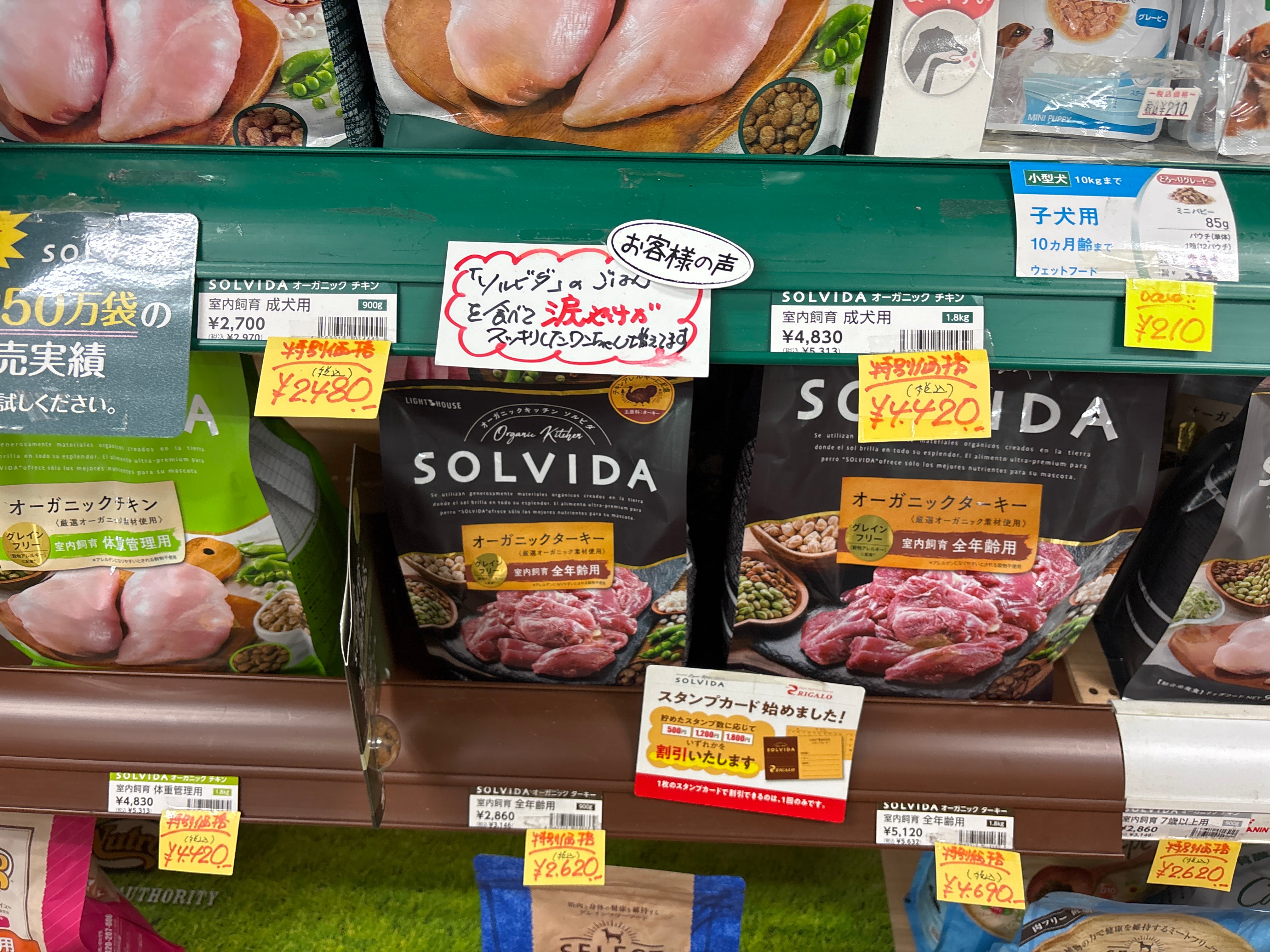 ペットランド_1枚目