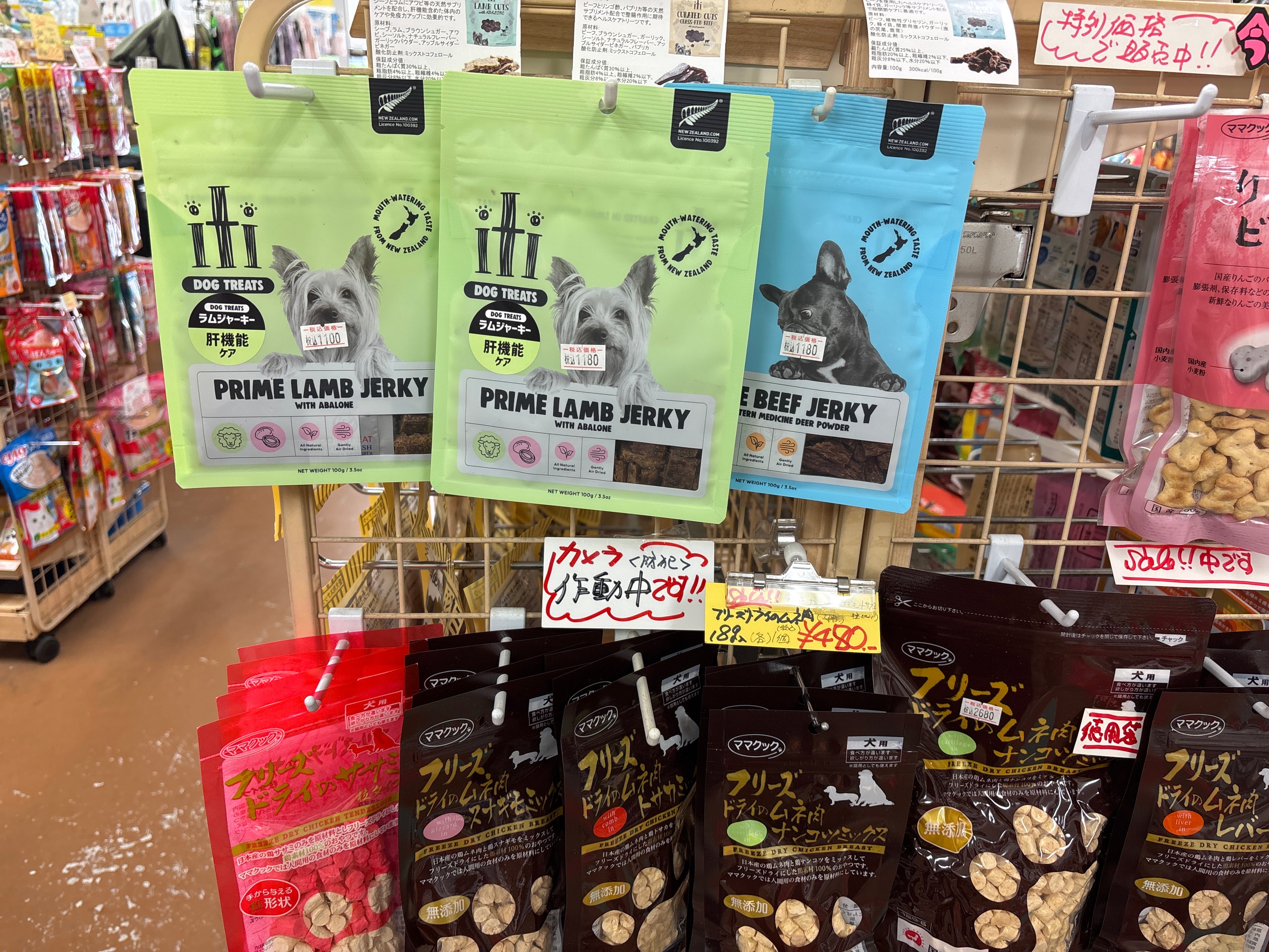 ペットランド_3枚目