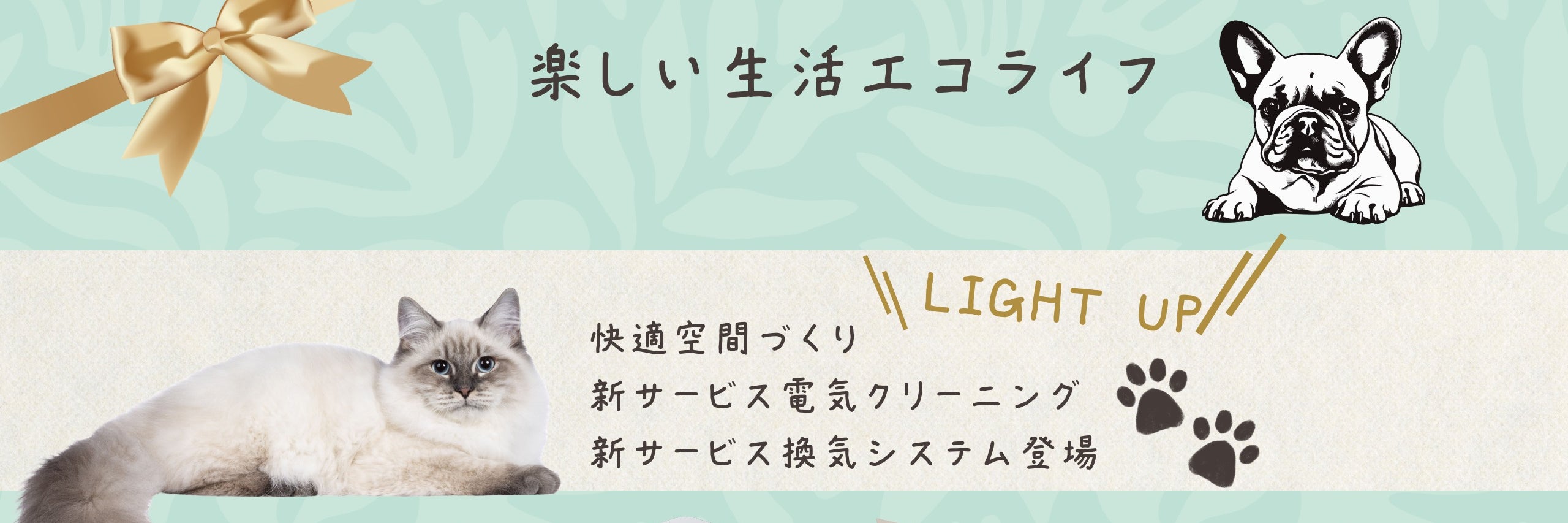 LIGHT UP