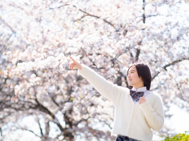 個別指導Wasedaの紹介写真_2枚目