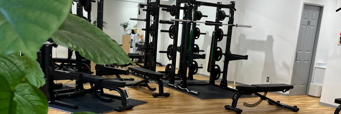 GYMNEST