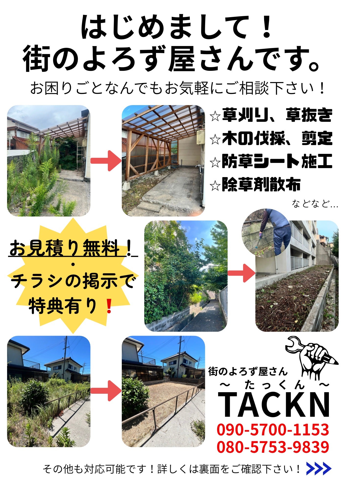 新チラシ発行！！！の写真