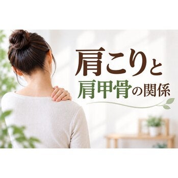 肩こりと肩甲骨の関係の写真