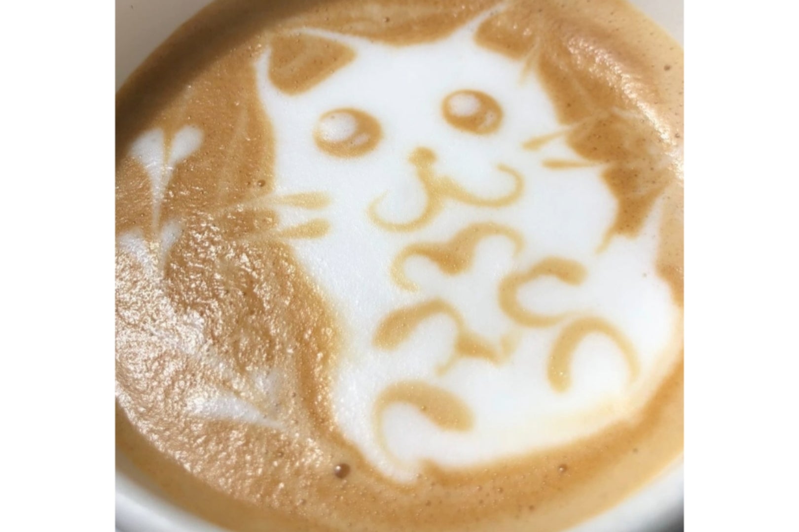 dan cafeのホットカフェラテの写真