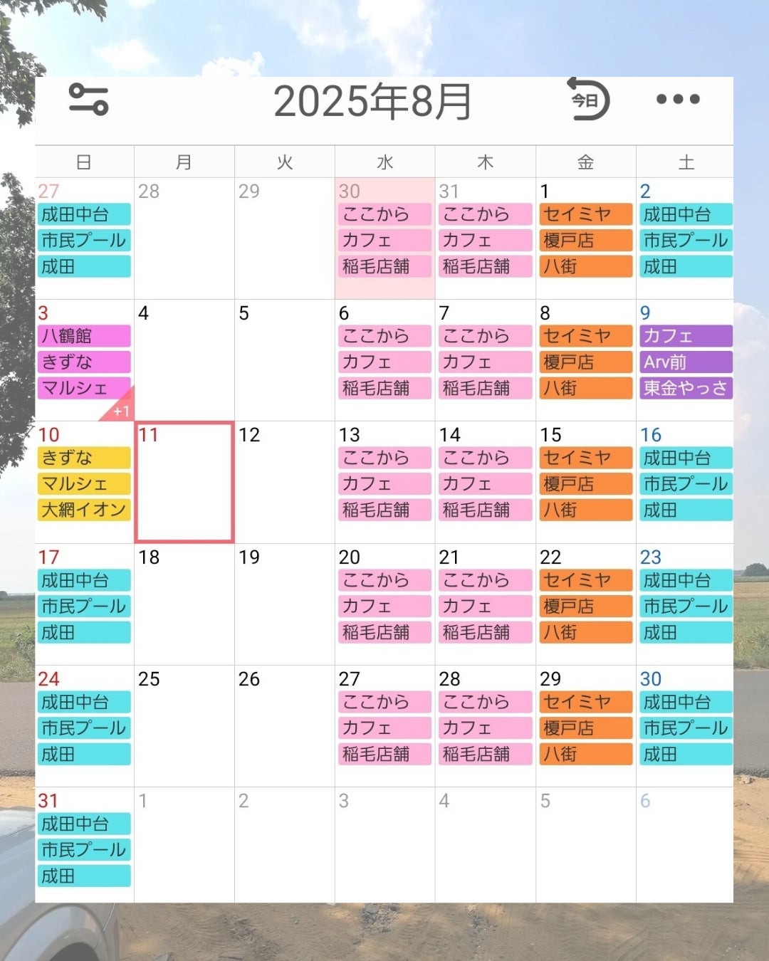 8月のスケジュール📆の写真