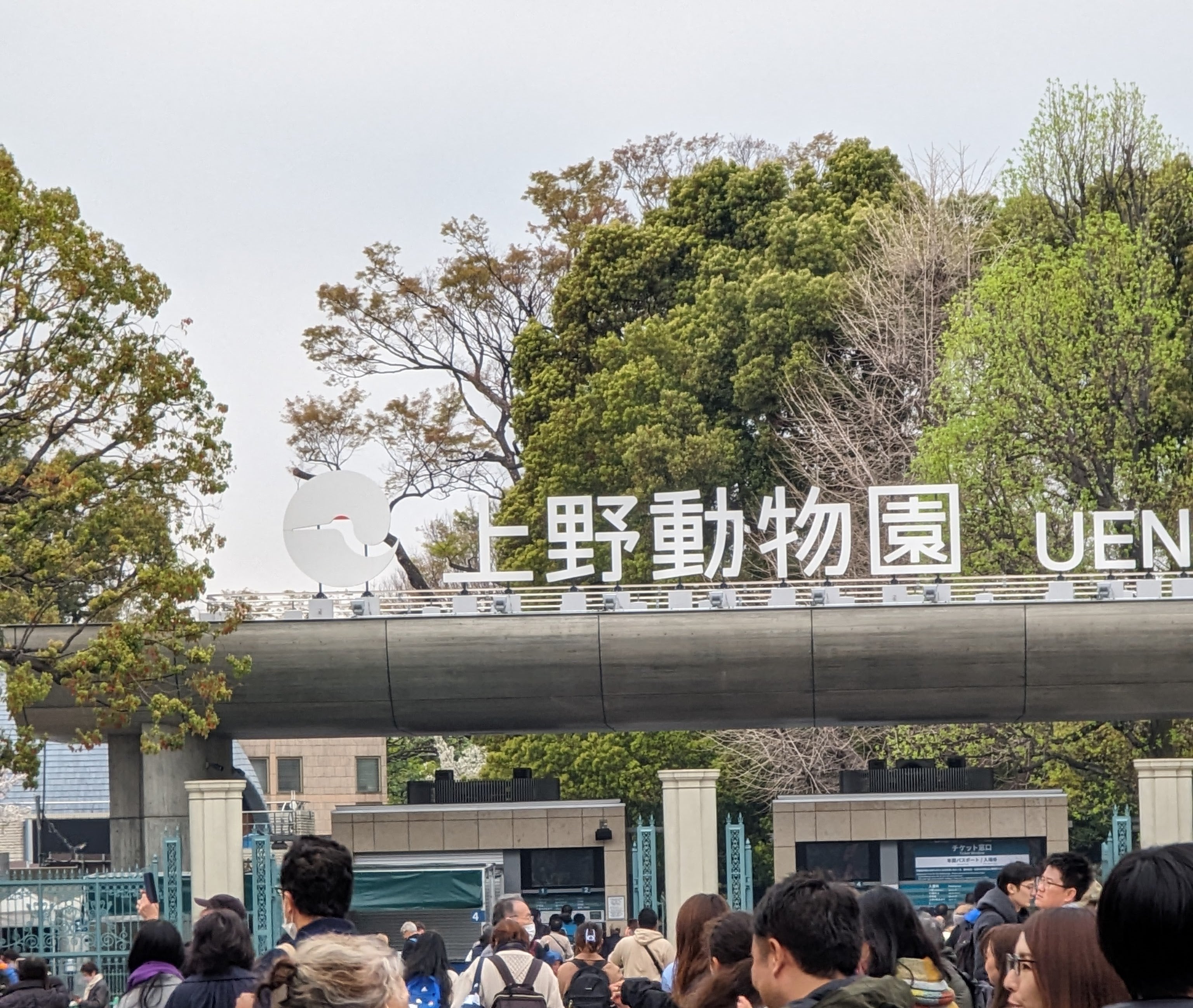 支援員が増えました。の写真