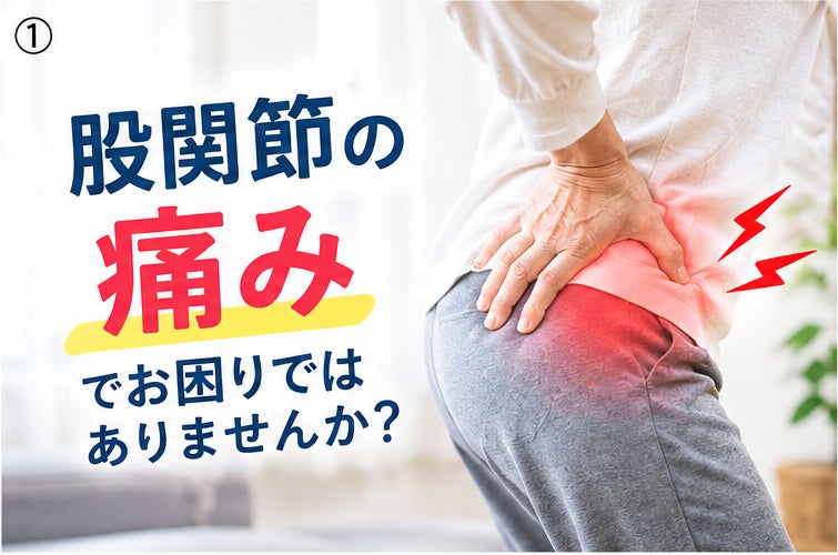 今回は、股関節の痛みについてお知らせいたします。の写真