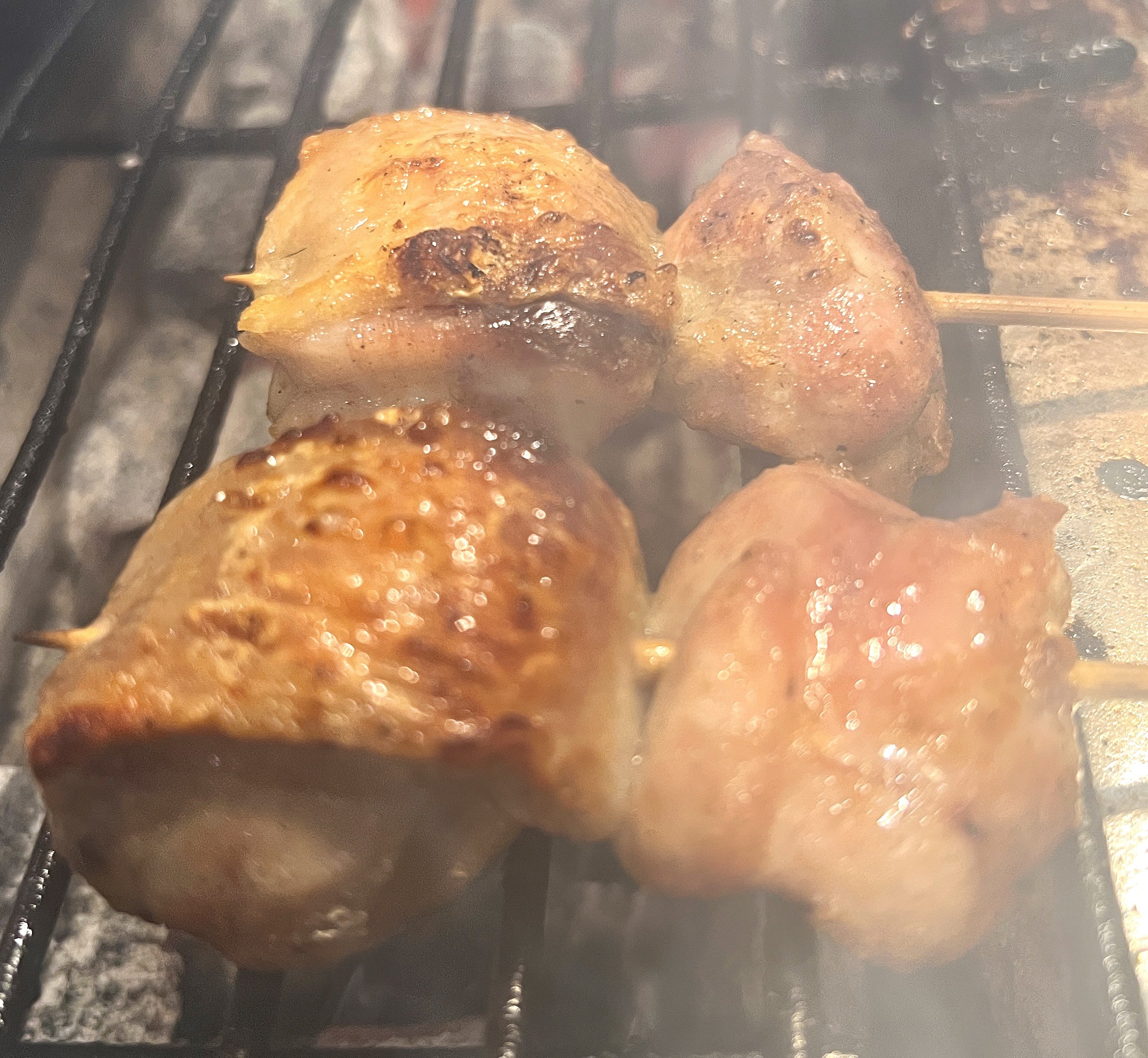 炭火焼き鳥・串焼きホルモン居酒屋　月のあかりのソリアカの写真