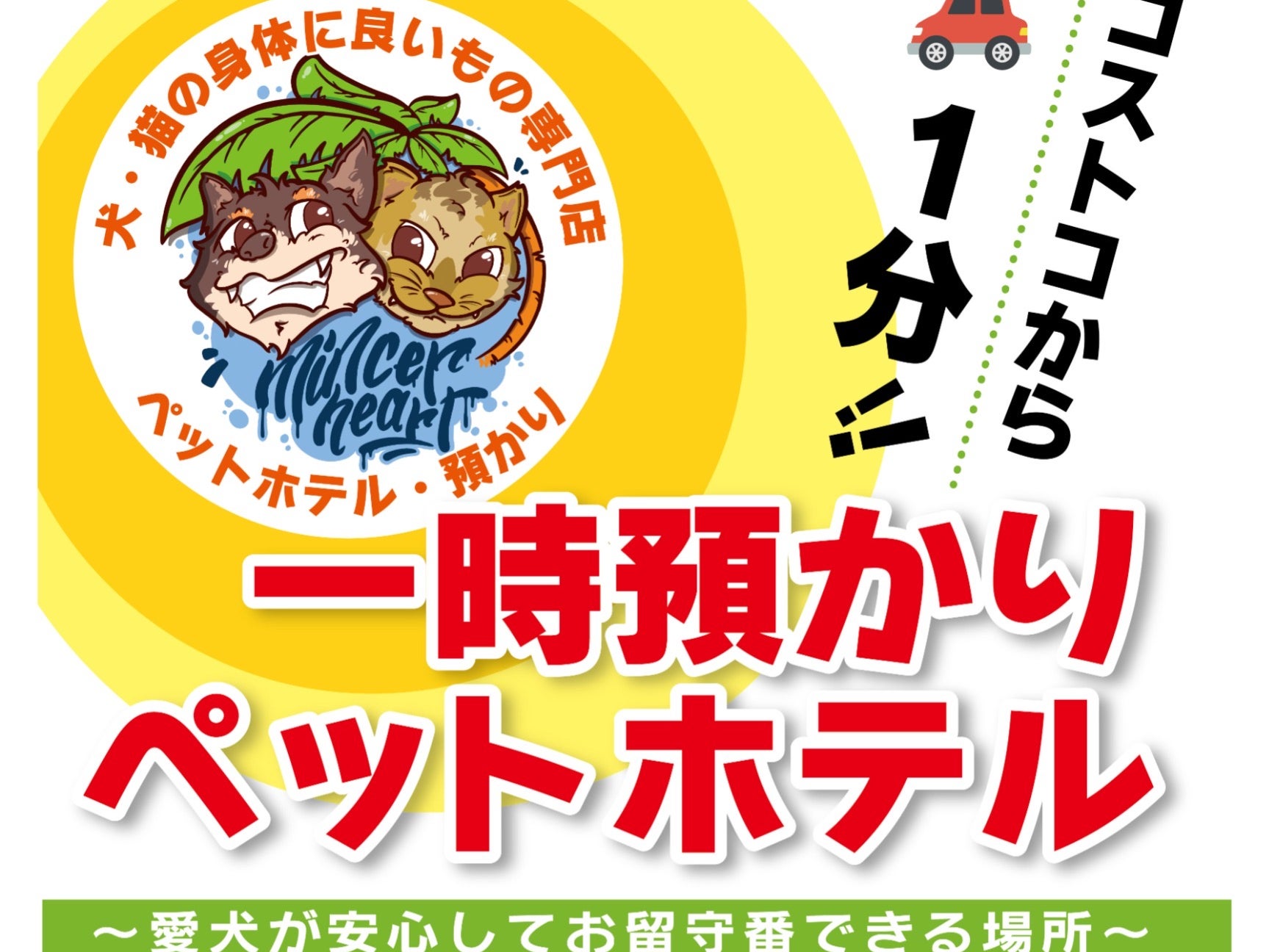 Mincer Heart OKINAWA_3枚目