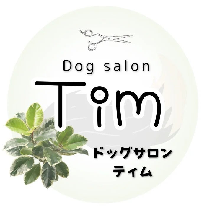 Dog salon Tim_1枚目