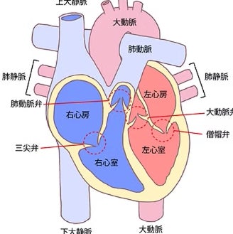 しゅろのき内科クリニック_3枚目