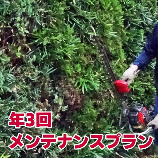 榮倉theGARDEN 東浦営業所 -お庭のお手入れ専門店-の年3回メンテナンスプラン　　52,500円〜 （税込）の写真