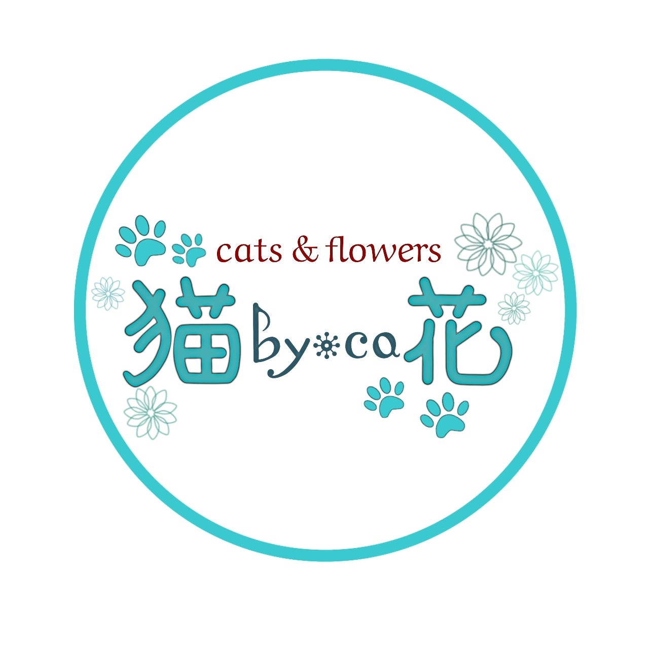 猫花_1枚目