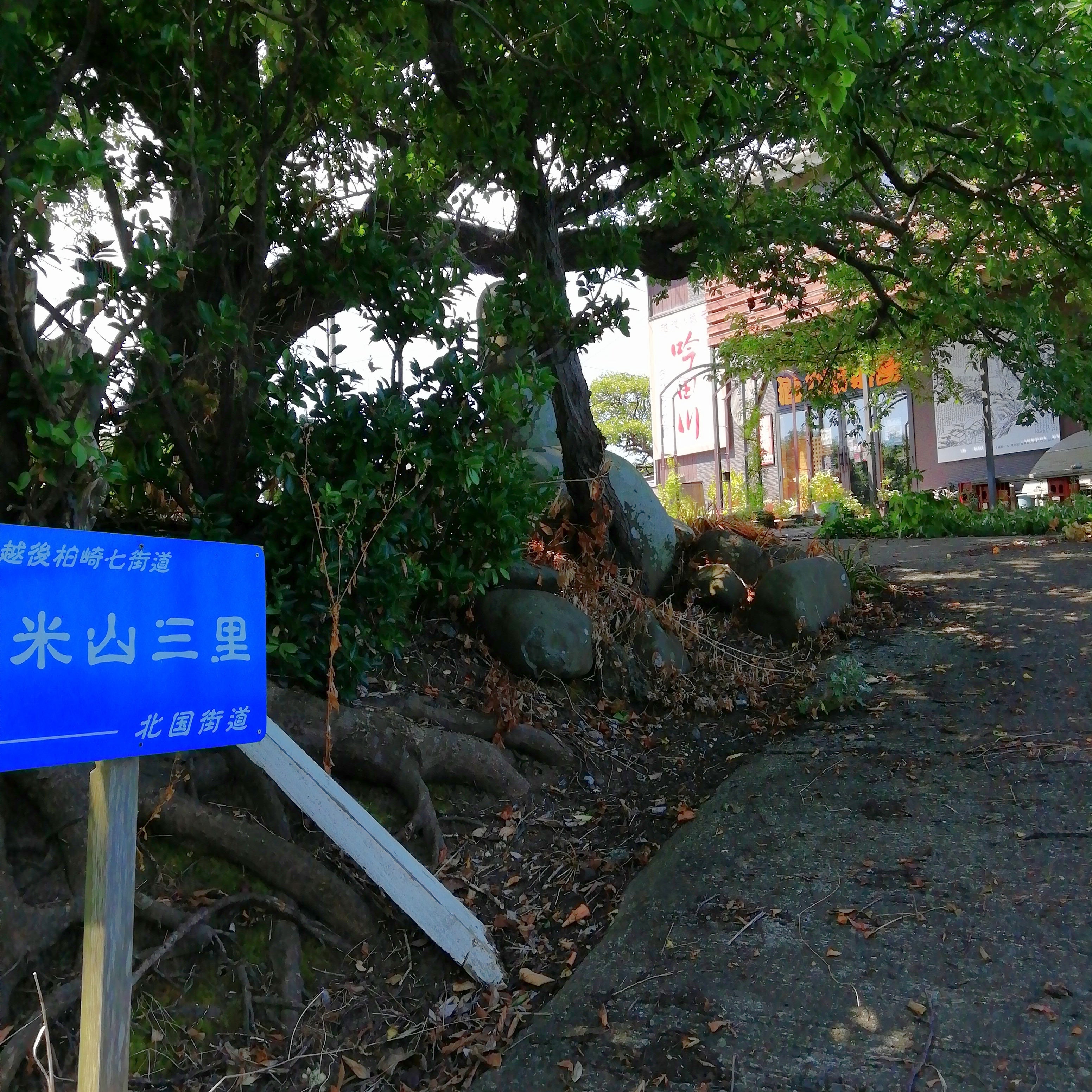 酒の新茶屋_3枚目