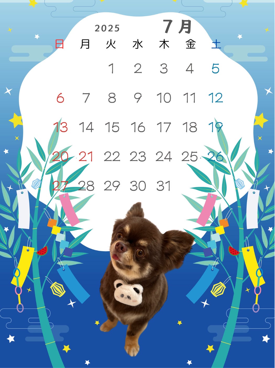 6月のミニカレンダー🎁の写真
