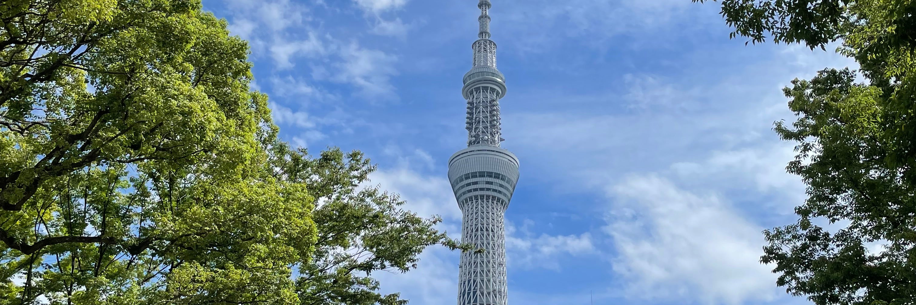 癒しどころajito