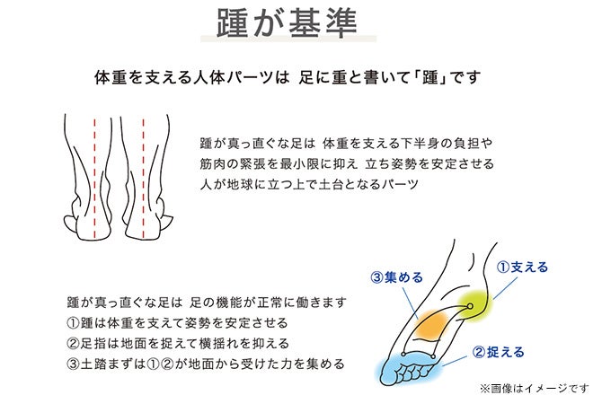 ルミエールプラチナムの紹介写真_1枚目