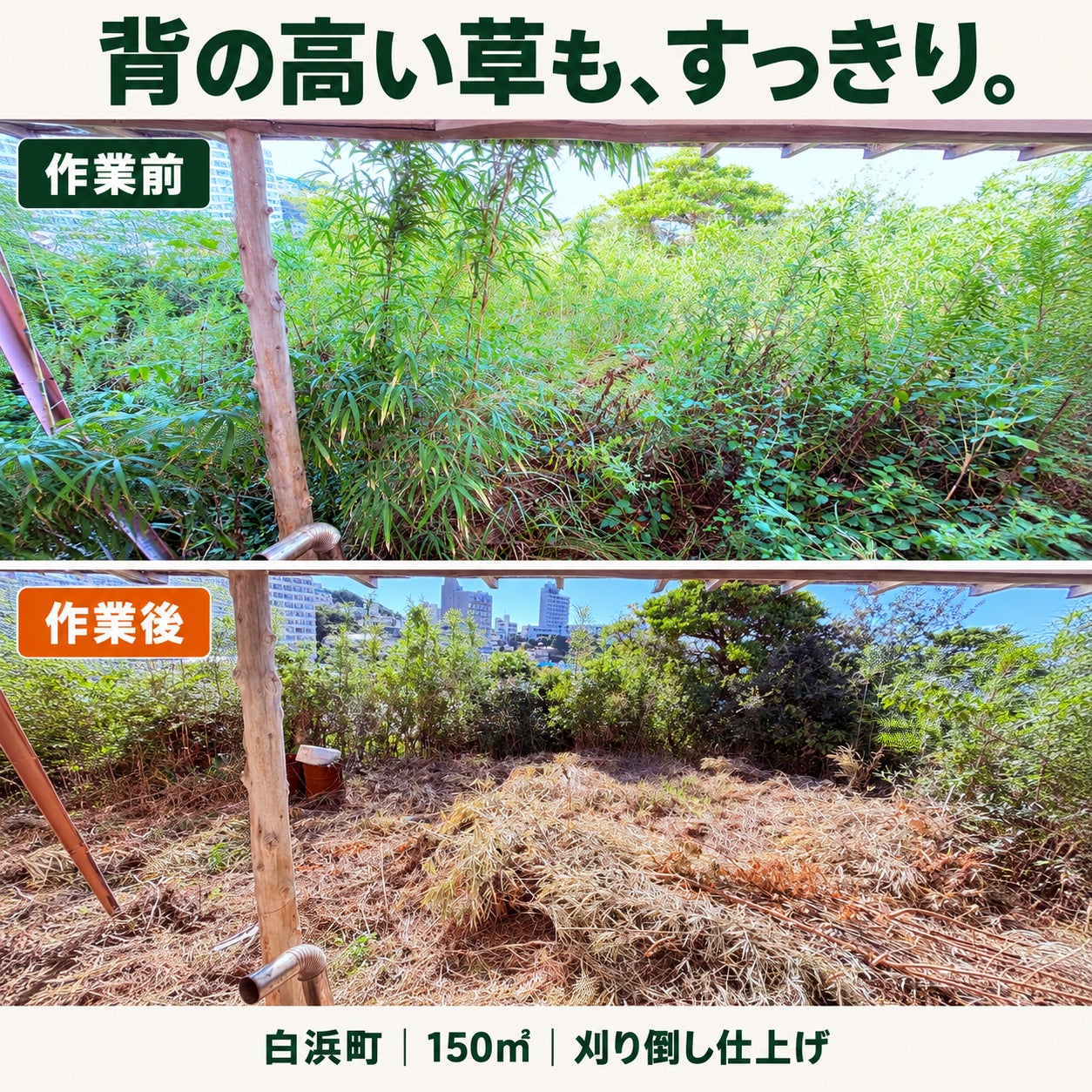 【白浜町】草丈2m以上の庭を草刈り｜150㎡の施工事例の写真
