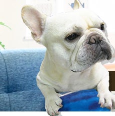 （株）ハウス倶楽部の紹介写真_1枚目