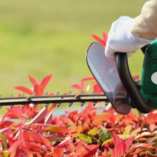 榮倉theGARDEN 美濃営業所 -お庭のお手入れ専門店-_3枚目
