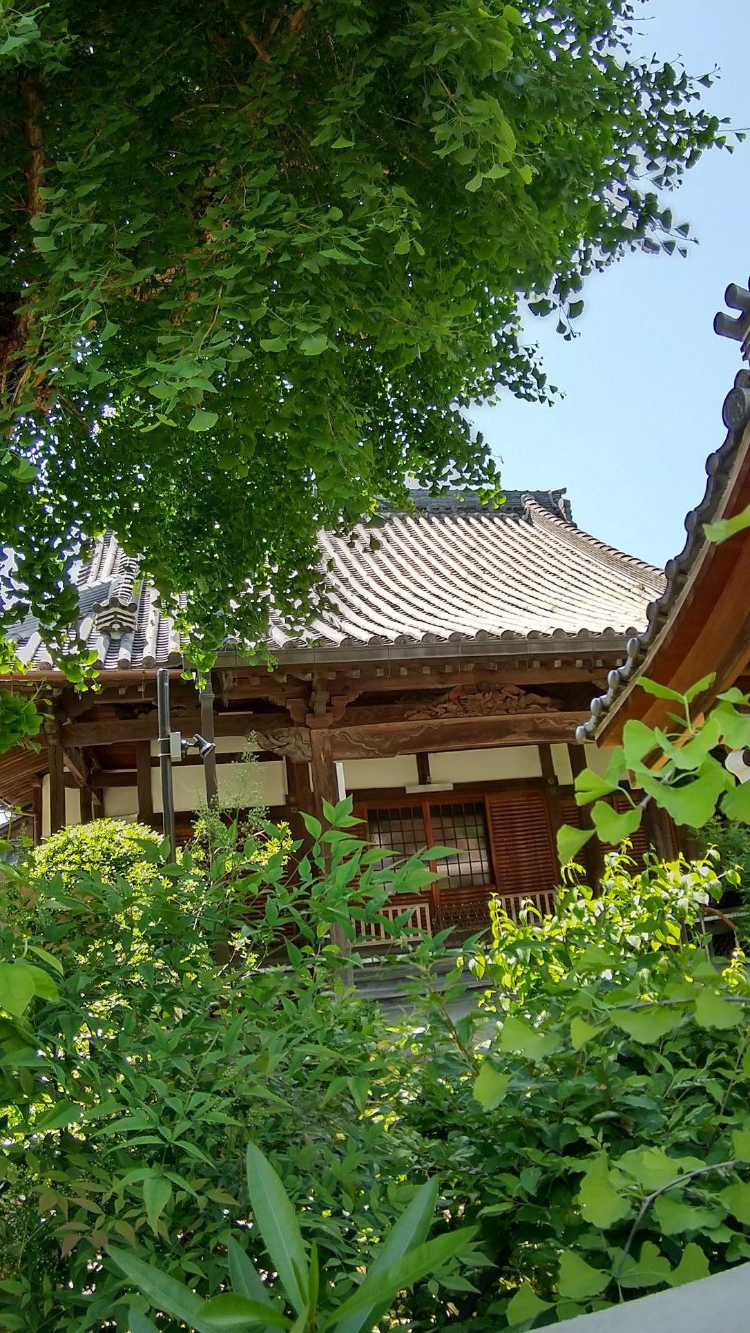 常光寺の外観の写真 - 本堂